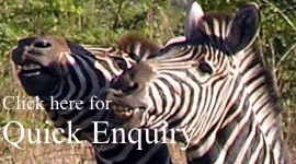 safari tour operators south africa