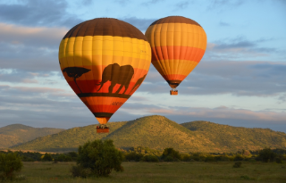 Balloon Safari in the Pilanesberg Game Reserve