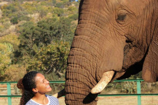 The Elephant Sanctuary near Johannesburg, Pretoria 