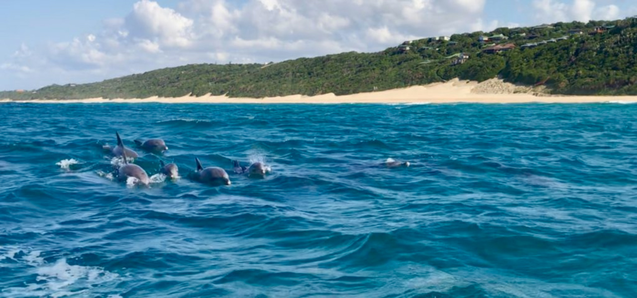 Historic City and Idyllic Beach Tour of Mozambique