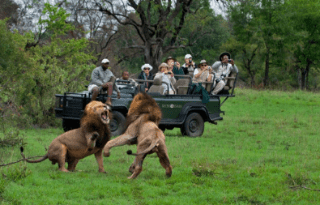 4-Day Top Class Luxury Safari at a Sabi Sabi Lodge - Kruger Park