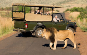 Eco-Friendly Pilanesberg Luxury Safari at Tshukudu Bush Lodge 