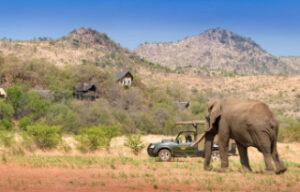 Eco-Friendly Pilanesberg Luxury Safari at Tshukudu Bush Lodge 